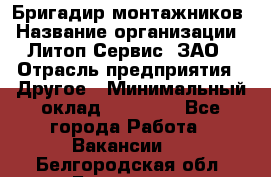 Бригадир монтажников › Название организации ­ Литоп-Сервис, ЗАО › Отрасль предприятия ­ Другое › Минимальный оклад ­ 23 000 - Все города Работа » Вакансии   . Белгородская обл.,Белгород г.